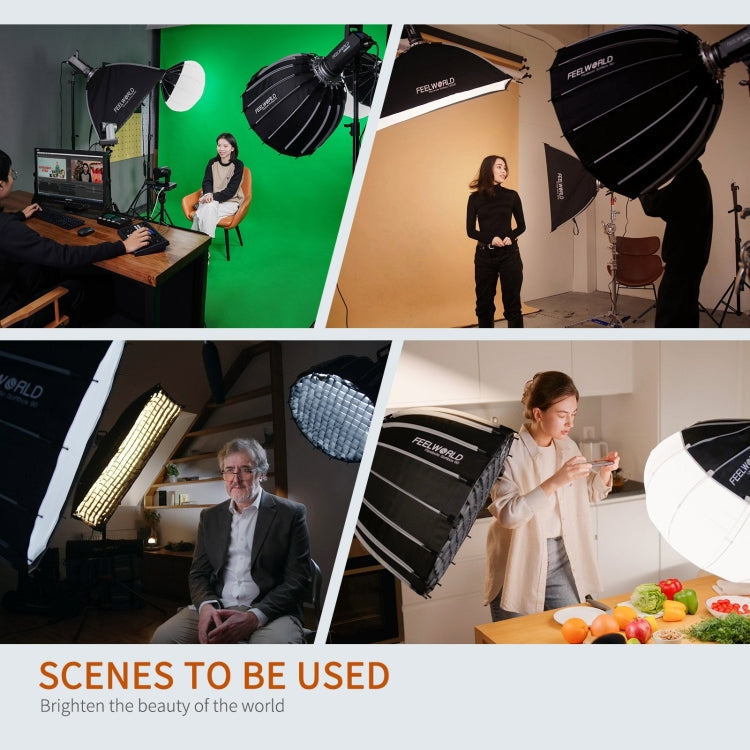 FEELWORLD FL125B 125W Bi-color Point Source Video Light, Bluetooth APP Control