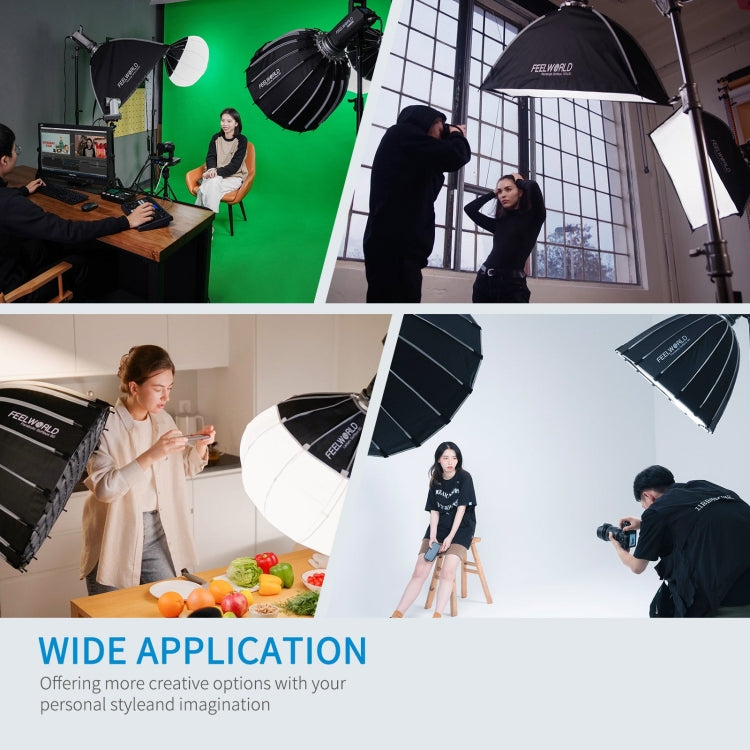 FEELWORLD FL125D 125W Daylight Point Source Video Light, Bluetooth APP Control