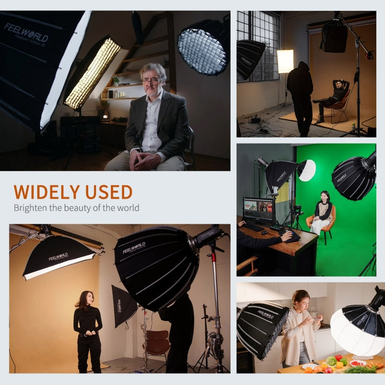 FEELWORLD FL225B 225W Bi-color Point Source Video Light, Bluetooth APP Control