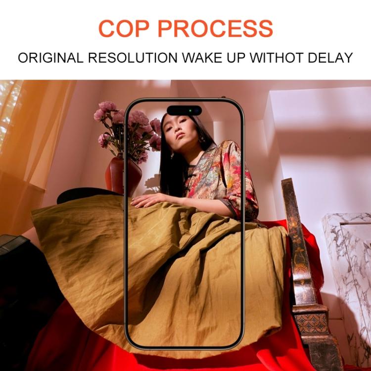 For iPhone 13 Pro Max DD Hard OLED Screen, Remove IC Need Professional Repair