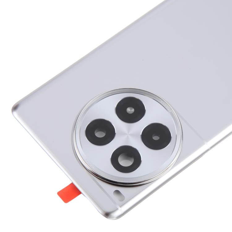 For OnePlus Ace 3 Pro PJX110 Original Glass Battery Back Cover with Camera Lens, For OnePlus Ace 3 Pro (Original)