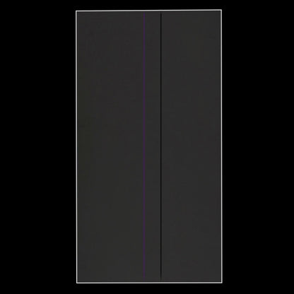 10 PCS Renovate LCD Filter Up Polarizing Films for iPhone 6 Plus & 6s Plus & 7 Plus & 8 Plus, 7 Plus & 8 Plus (Down)