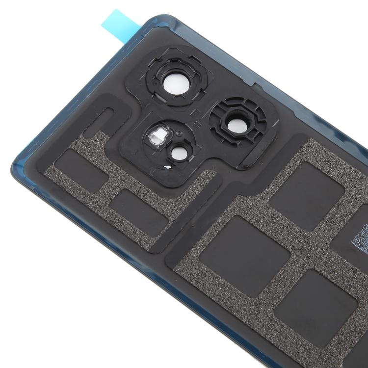 For Realme GT 6 Global Original Back Cover with Camera Lens Cover, For Realme GT 6(Original)