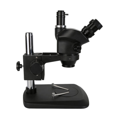 Kaisi 37050 7X-50X Trinocular Microscope with Light