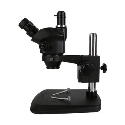 Kaisi 37050 7X-50X Trinocular Microscope with Light